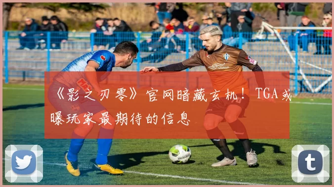 《影之刃零》官网暗藏玄机！TGA或曝玩家最期待的信息