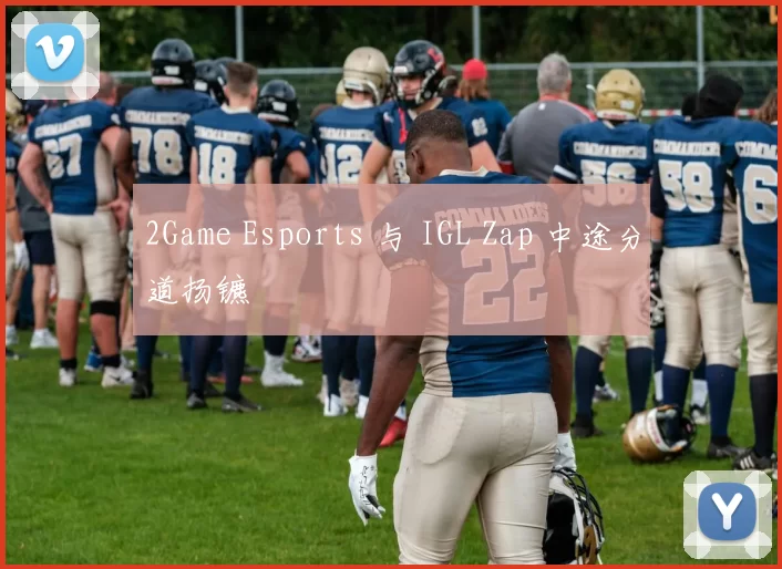 2Game Esports 与 IGL Zap 中途分道扬镳