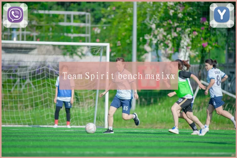 Team Spirit bench magixx
