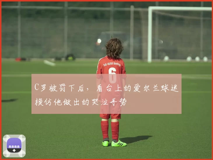 C罗被罚下后，看台上的爱尔兰球迷模仿他做出的哭泣手势