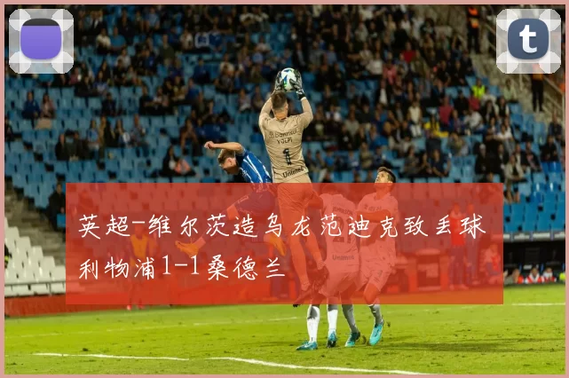 英超-维尔茨造乌龙范迪克致丢球 利物浦1-1桑德兰