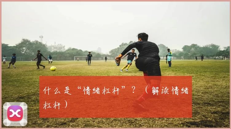 什么是“情绪杠杆”？（解读情绪杠杆）