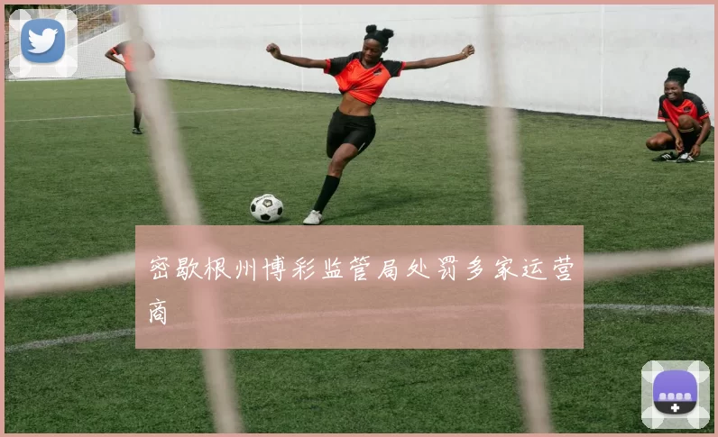 密歇根州博彩监管局处罚多家运营商