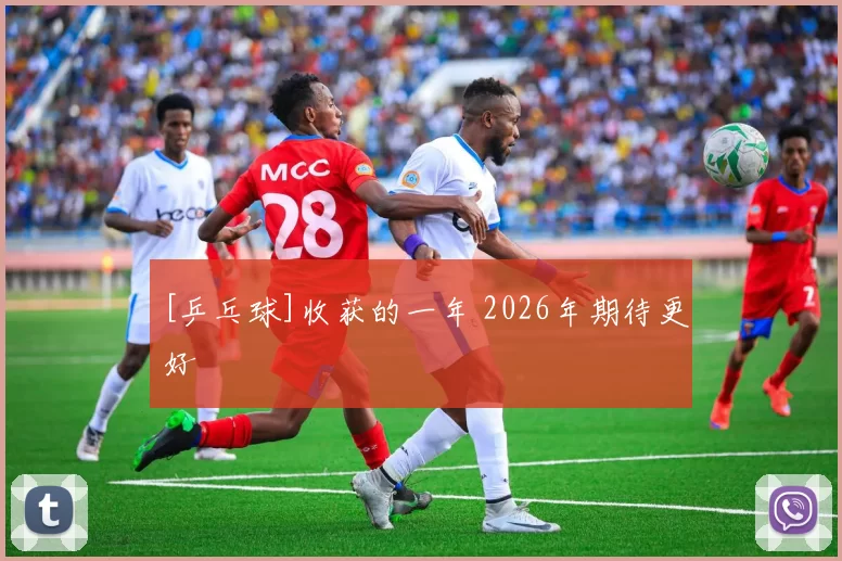 [乒乓球]收获的一年 2026年期待更好