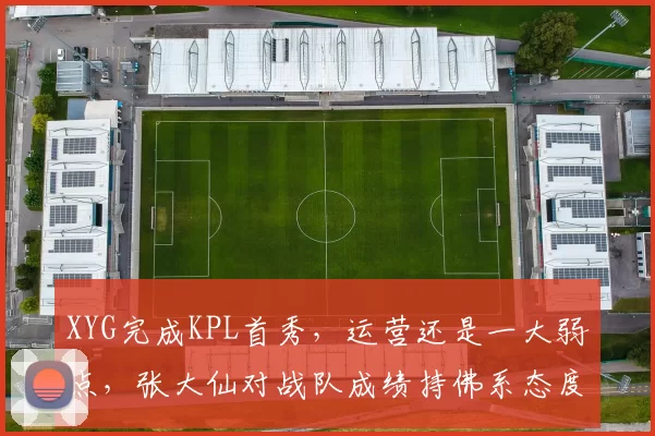 XYG完成KPL首秀，运营还是一大弱点，张大仙对战队成绩持佛系态度