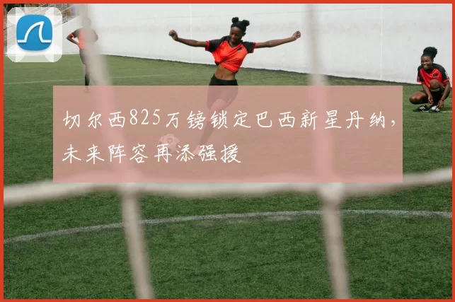 切尔西825万镑锁定巴西新星丹纳，未来阵容再添强援